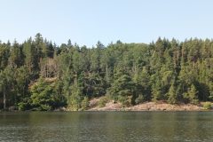 20220720_085644-scaled