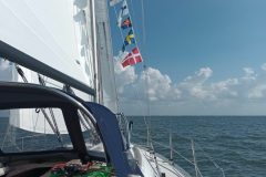 20220908_155434-scaled