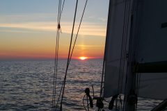 20220605_040848-scaled