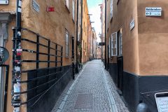 20220713_150048-scaled