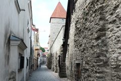 20220623_113607-scaled