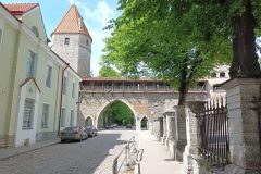 20220623_115159-scaled