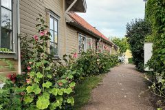 20220726_162559-scaled