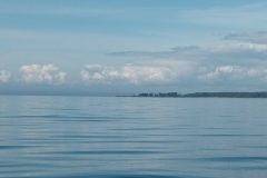 20220809_115357-scaled