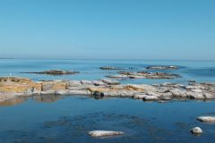 20220809_135505-scaled