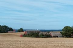 20220820_142636-scaled