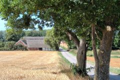 20220820_143012-scaled