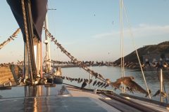 20220822_062945-scaled