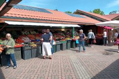 20220611_130249-scaled