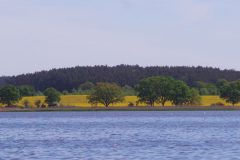 20220517_113607-scaled