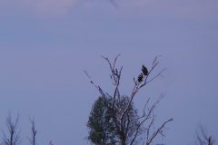 20220517_130410-scaled