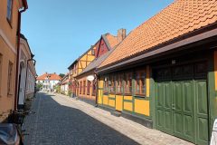 20220815_145141-scaled