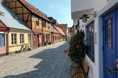 20220815_145247-scaled