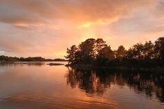 20220727_211420-scaled