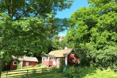 20220708_164104-scaled