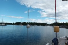 20220708_180138-scaled