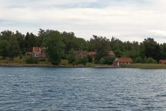 20220710_121923-scaled