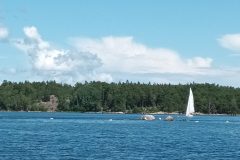 20220711_131801-scaled