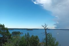 20220711_165345-scaled