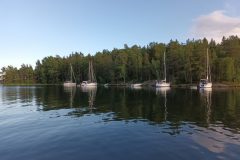 20220711_185328-scaled