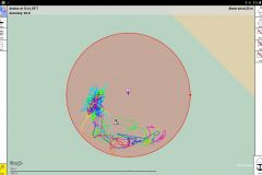 20220721-084624_Anchor