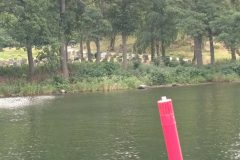 20220722_122739-scaled